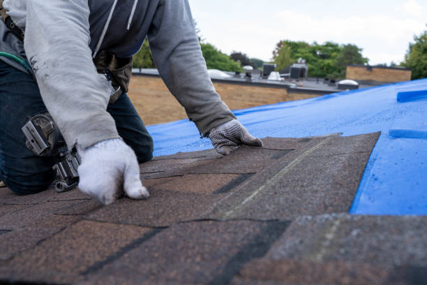 Best Sealant for Roof  in Crystal Springs, MS